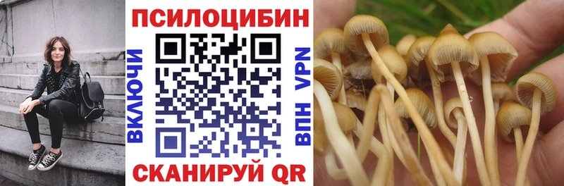 Псилоцибиновые грибы Psilocybe  даркнет сайт  Майский 